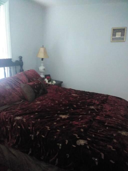 Amish Country W/ Buggy Ride Apartment