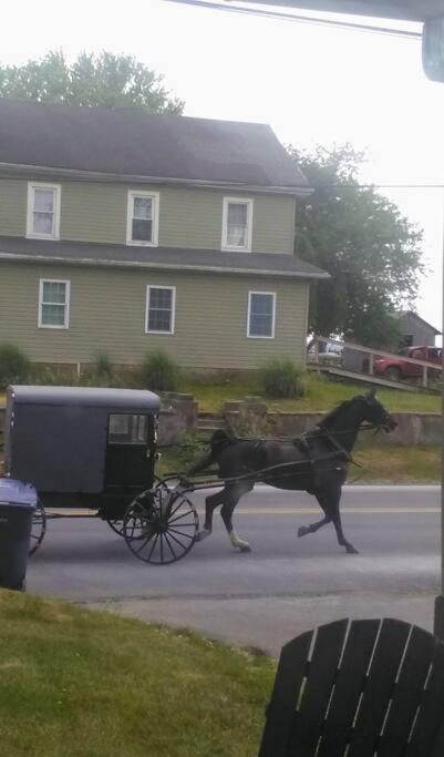 Amish Country W/ Buggy Ride Apartment *