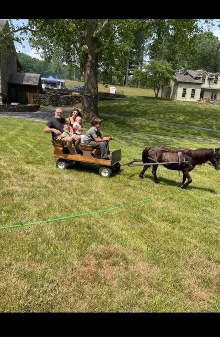 Amish Country W/ Buggy Ride * Gap