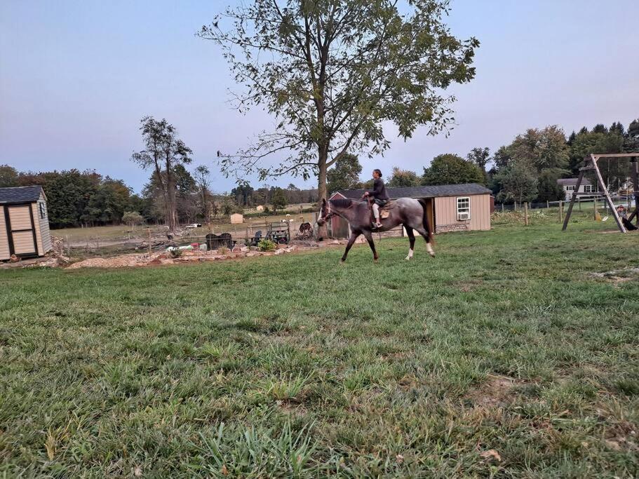 Apartment Amish Country W/ Buggy Ride Gap